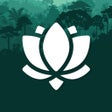 Ícone do programa: Daily Gratitude  Affirmat…
