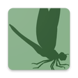 プログラムのアイコン：Insect Identifier