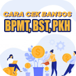 程序图标：Bansos BPNT BST PKH Kemen…