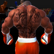 Ikon program: Virtual Boxing 3D Game Fi…
