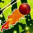 程序图标：Powerplay Cricket