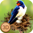Programikonen: Swallow Simulator  Flying…