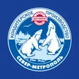 Programikonen: Север-Метрополь