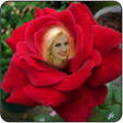 プログラムのアイコン：Flower Photo Editor