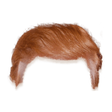 プログラムのアイコン：Trump your hair