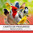 Ícone do programa: Canto de Pássaros Brasile…