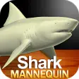 Shark Mannequin