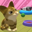 プログラムのアイコン：Cat Collect
