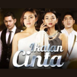 Programikonen: Tebak Gambar Ikatan Cinta