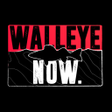 プログラムのアイコン：Walleye Now