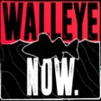 Icon of program: Walleye Now