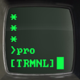 プログラムのアイコン：Terminal Green - CRT Them…