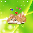 ไอคอนของโปรแกรม: Funny Cat Live Wallpaper