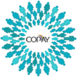 Programikonen: CoPay Mobile