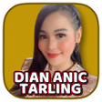 Ikon program: Lagu Dian Anic Tarling Le…