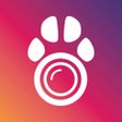程序图标：PetCam App - Dog Camera A…