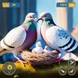 أيقونة البرنامج: Flying Pigeon Bird simula…