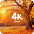 Programikonen: Autumn Wallpapers in 4K