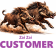 Icon of program: Zai Zai Customer