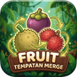 Ícone do programa: Fruit Tempatan Merge