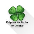 プログラムのアイコン：Palpites do Bicho no Celu…