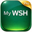 프로그램 아이콘: WSHone