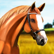 程序图标：Derby Life : Horse racing