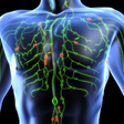Icon of program: Lymphatic System