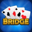 Programikonen: Bridge Card Game Classic