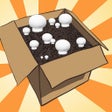 Programikonen: Mushroom Growing Kit Simu…