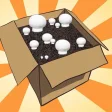 Mushroom Growing Kit Simulator - White Button