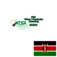 Programikonen: Ntsa Mobile App
