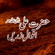 程序图标：Hazrat Ali Quotes in Urdu