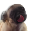 Programın simgesi: Licking Dog Screen Clean