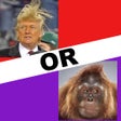 Icoon van programma: Trump or Monkey