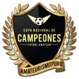 程序图标：Copa Nacional de Campeone…
