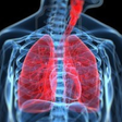 程序图标：Respiratory System