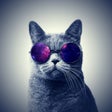 Ícone do programa: Cats Wallpapers 4K HQ Not…