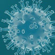 Coronavirus Cases