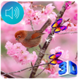 Ikon program: Sakura Live Wallpaper - S…