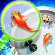 プログラムのアイコン：Shin Goldfish Scooping