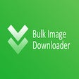 Icon of program: Bulk Image Downloader