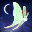 Icoon van programma: Flutter: Starlight