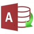 Icoon van programma: Access to Excel Converter