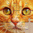 Ícone do programa: Jigsaw puzzles for everyo…