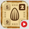 Sunny Seeds 2: Numbers puzzle