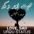 Love Sad Urdu Photo Status icon