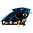 程序图标：Panther TV Pro