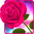プログラムのアイコン：WAStickerApps Flowers