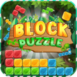 Programikonen: Puzzle: Forest Block